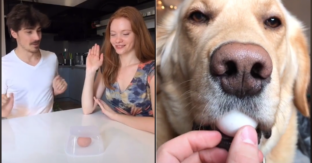 The Egg Challenge on TikTok Will Annoy Your Friends to Death