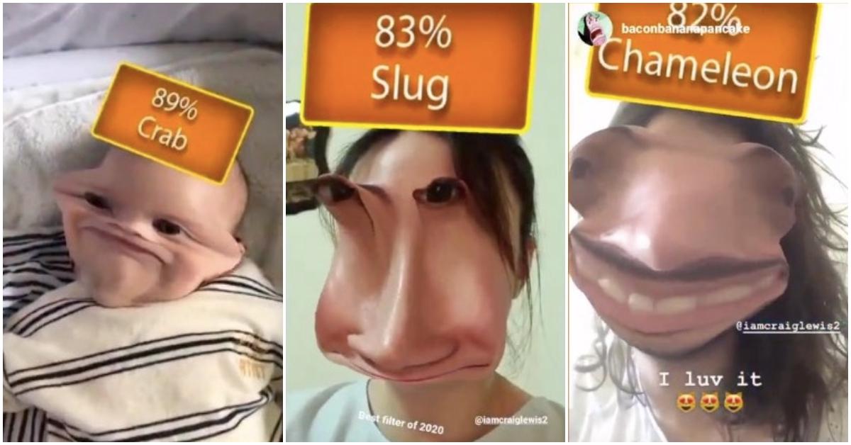 blobfish meme|TikTok Search