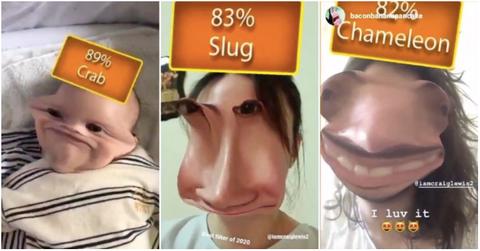 genetics heritage filter instagram