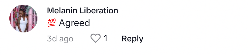 A TikTok user on Gina's post about conversations black people aren't ready to have