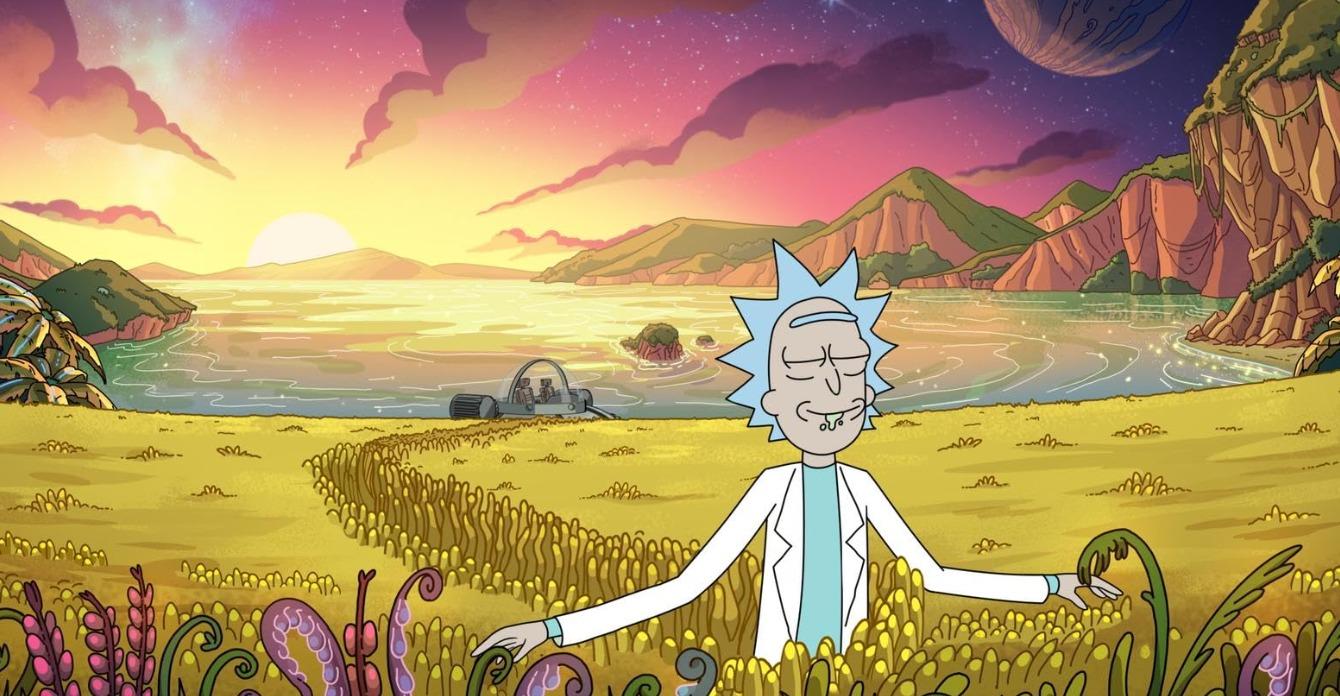 rick-and-morty-field