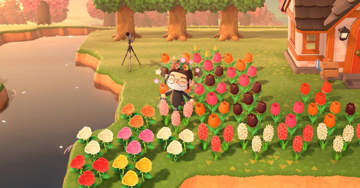 How to Cross-Pollinate in 'Animal Crossing' to Make More Colors