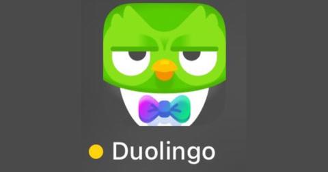 duolingo app tuxedo