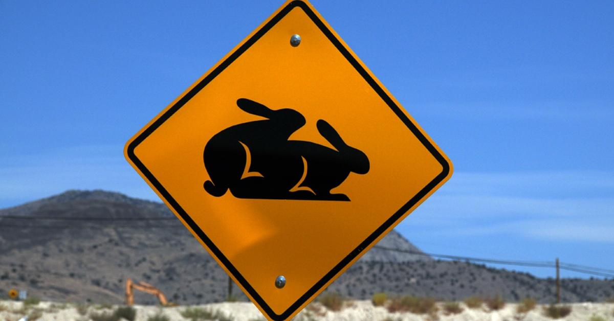 Sign near the BunnyRanch