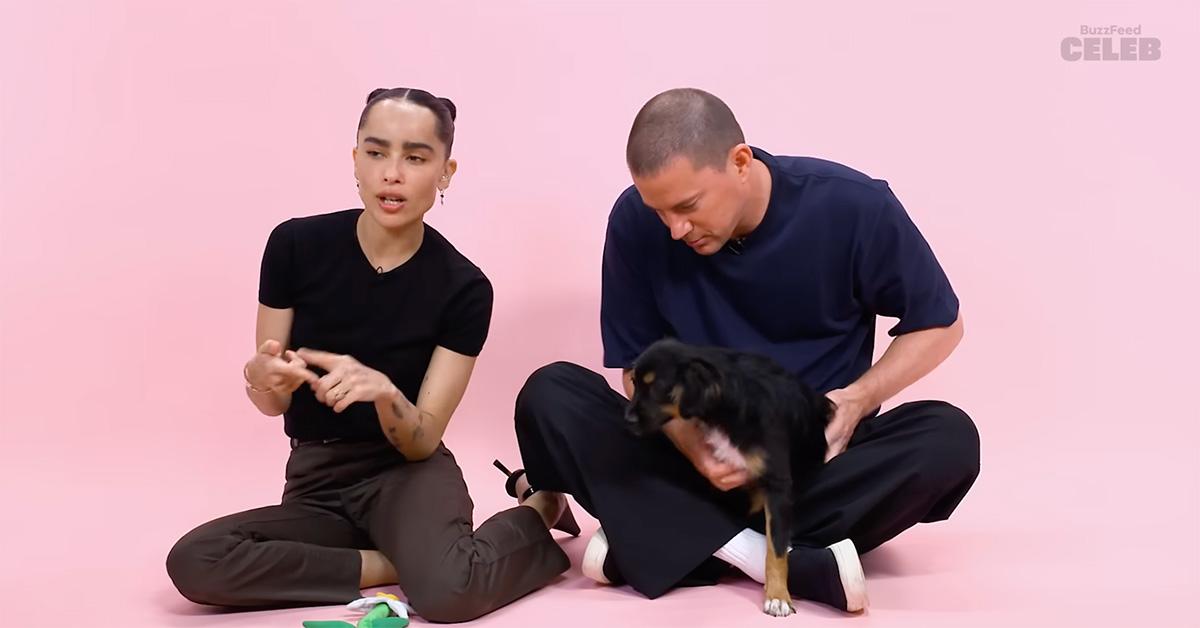 Channing Tatum and Zoe Kravitz during their BuzzFeed puppy interview. 