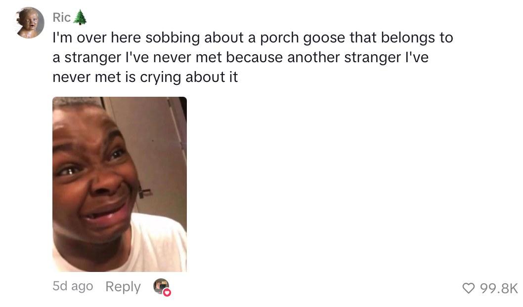 porch goose neighbor