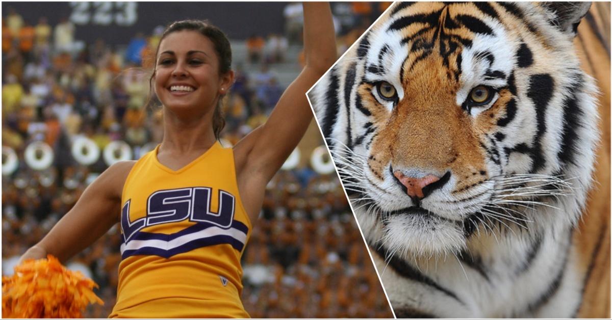 Why LSU Is Called the Tigers Traces Back to a Complicated History