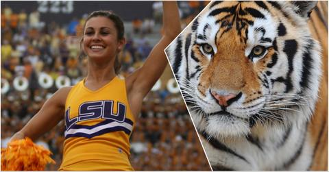 Why LSU Is Called the Tigers Traces Back to a Complicated History