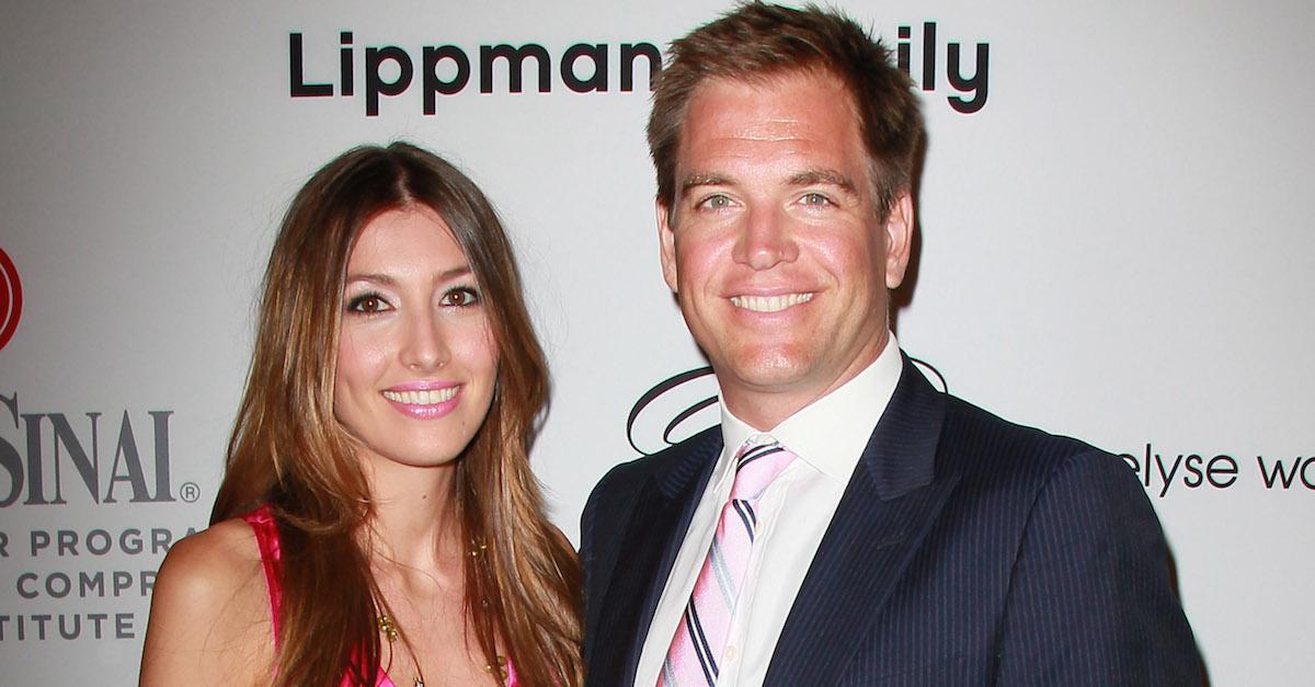 Michael Weatherly wife