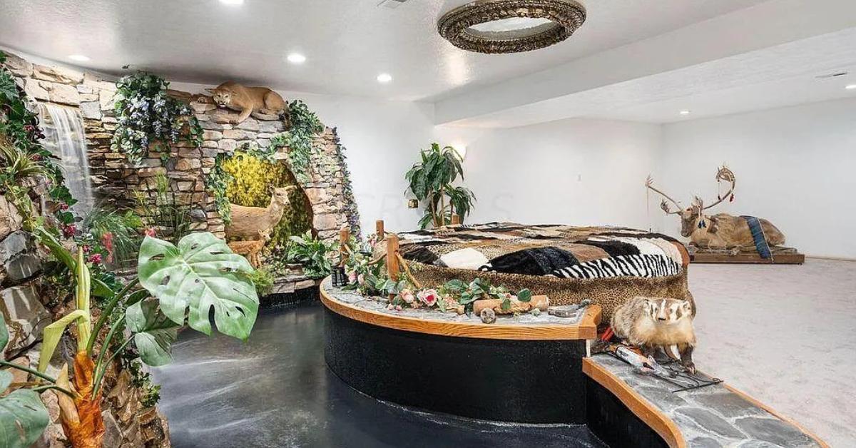 zillow listing taxidermy basement