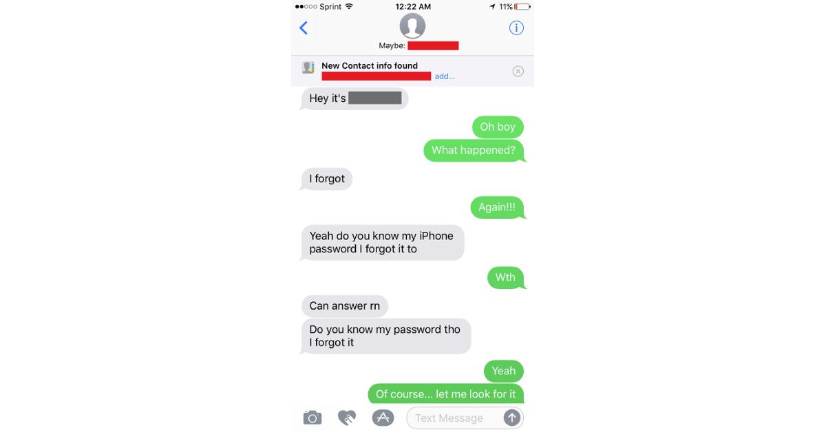 brother sister phone thief troll