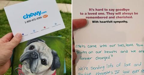 pet store act of kindness customer service cdcabf__