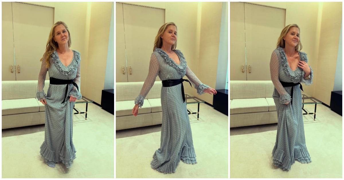 amy schumer weight loss