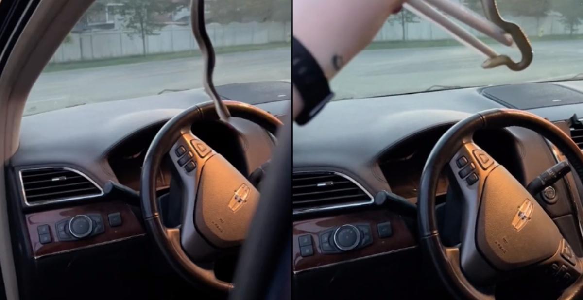 snake in car visor tiktok