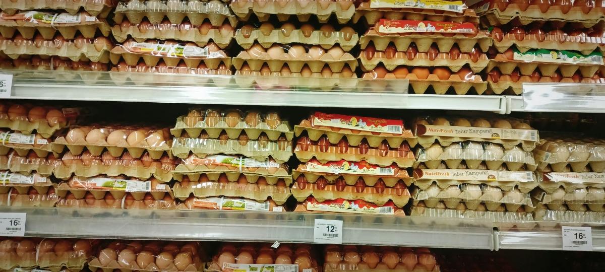 grocery store eggs on shelf