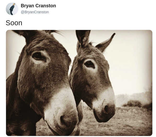 cranston donkey tweet