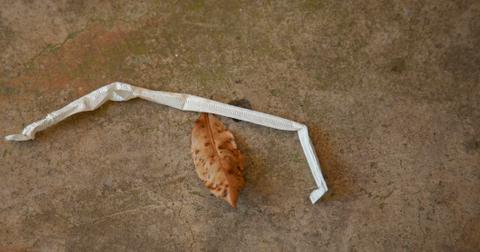 19-useless-things-1571422848853.jpg