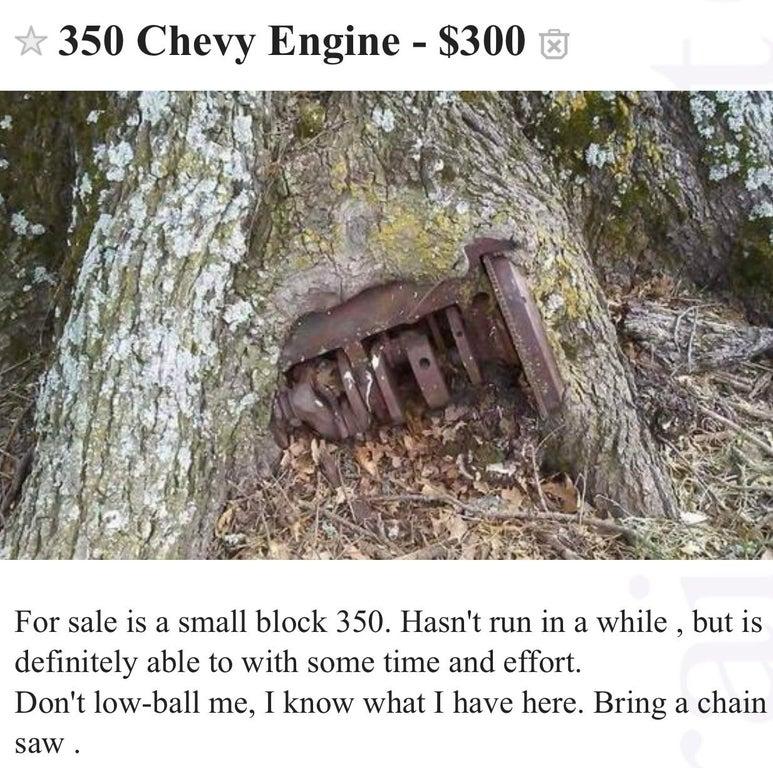 weird craigslist