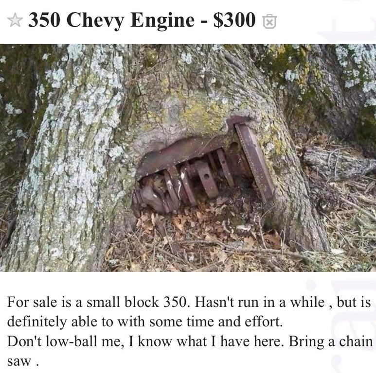 Bizarre Things People Are Trying to Sell on Craigslist and Facebook