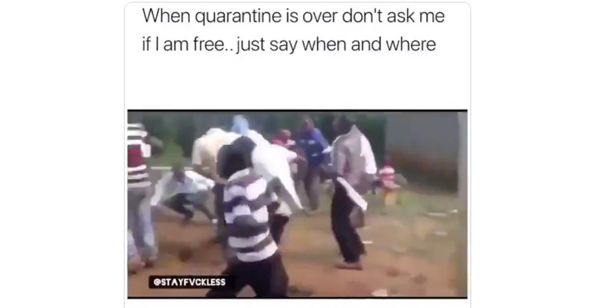 twitter quarantine meme