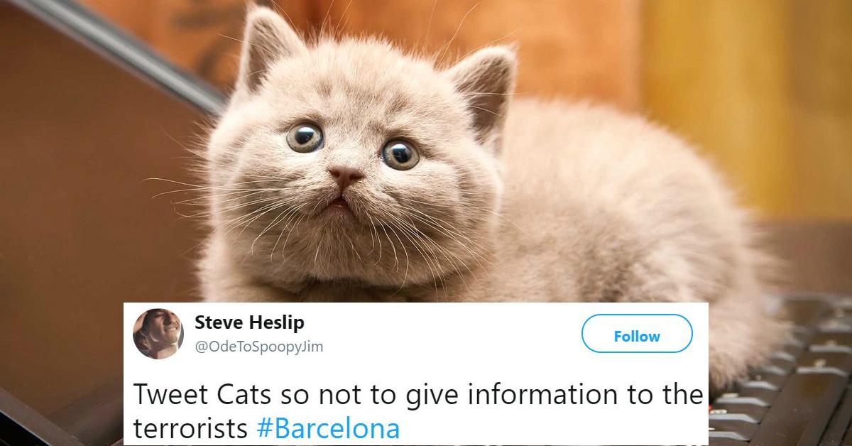 cover-cats-1503076848073-1503076850656.jpg