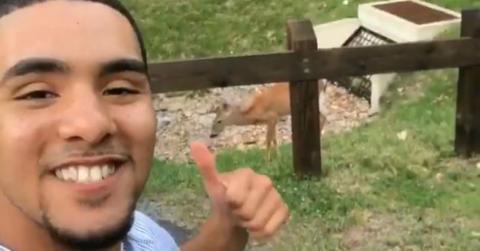 cover brother nature