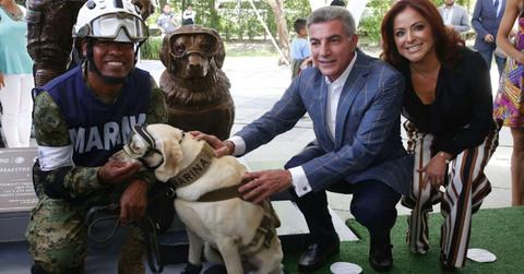 frida_dog_statue_mexico