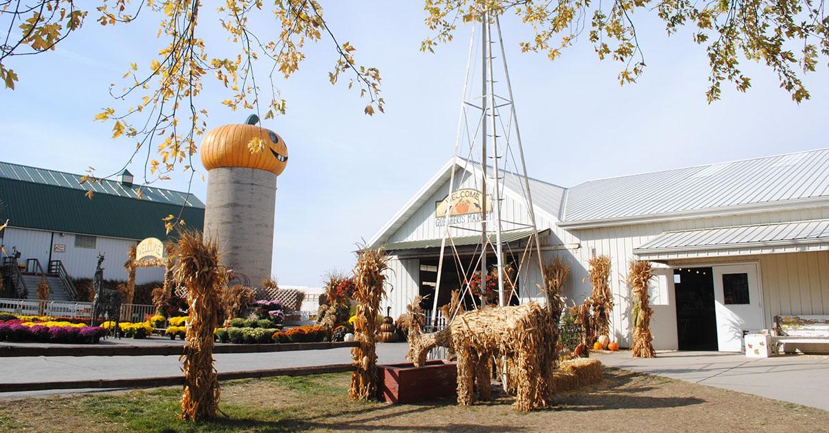 pumpkin patch near me chicago