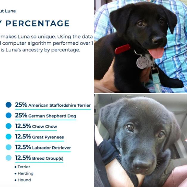 does 23andme work for dogs