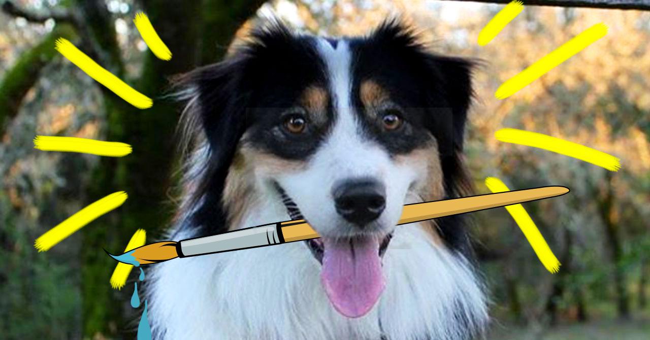Secret the Australian Shepherd Dog Does Yoga