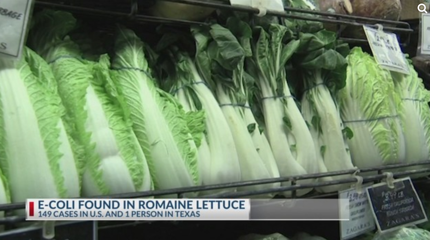 not romaine lettuce