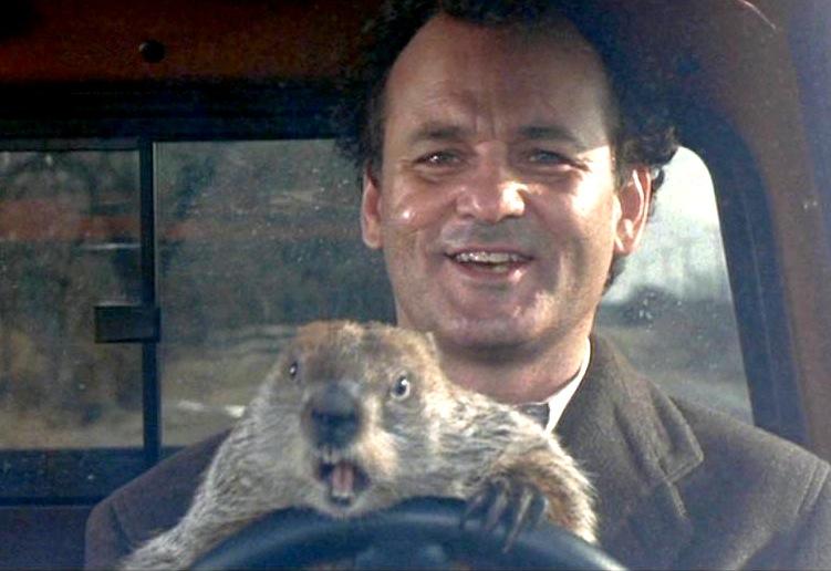 groundhogday