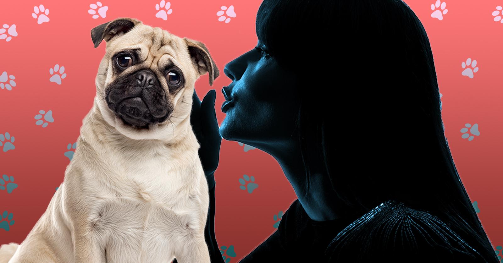 tellyourdoggie-1488381275239.jpg