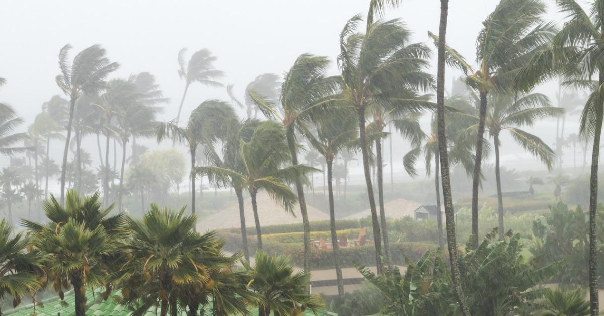 palm-trees-blowing-in-the-wind-and-rain-as-a-hurricane-approaches-a-picture-id1034439116-1542298332772-1542298334806.jpg