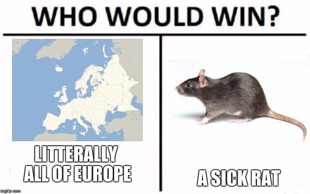 28 Social Studies Memes All History Buffs Will Love