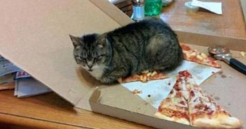 atqOQWkwtAeNScwxNOwcIYoIfqwAmozWzhlBGc