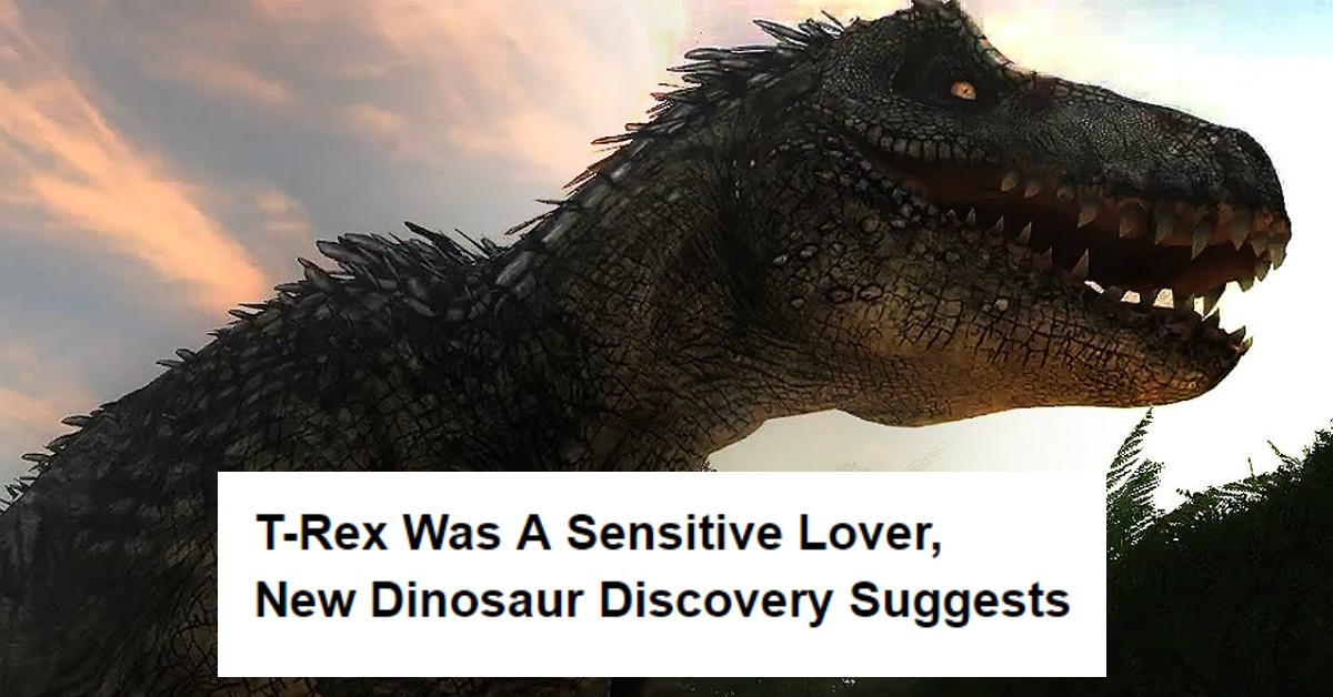 cover-rex-1491109187917.jpg