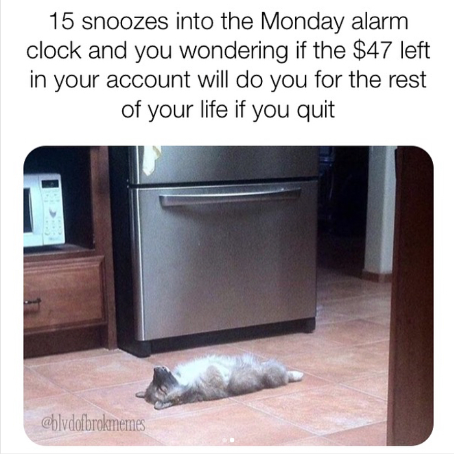 The Best Monday Sucks Memes to Share on Social Media