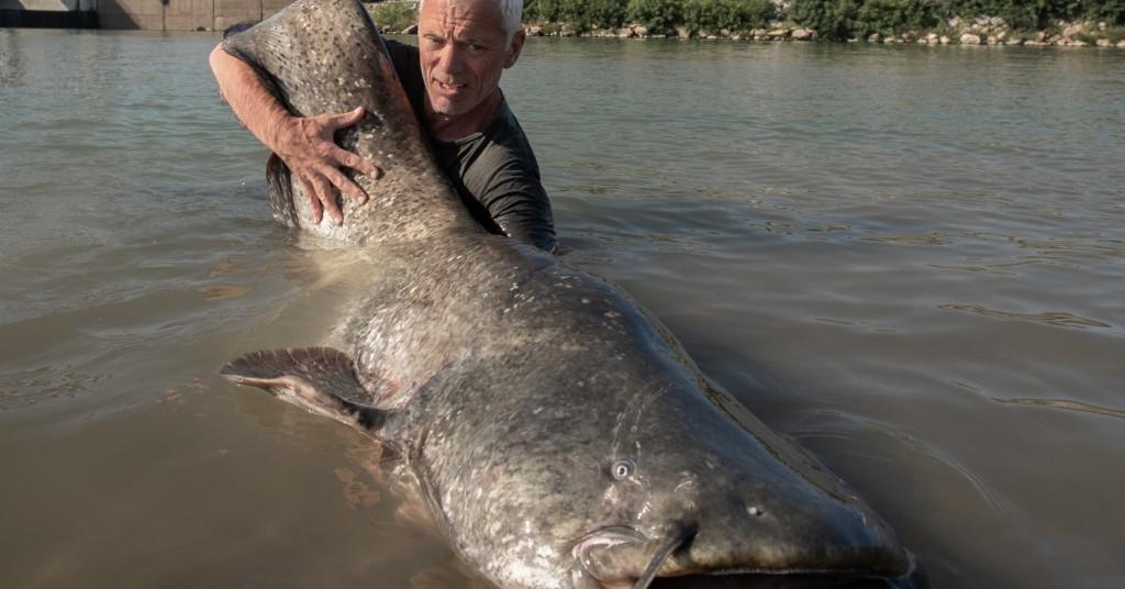 Is 'Dark Waters' Star Jeremy Wade Married? Plus More on the Animal ...