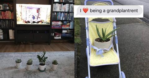 grandplantrent cover