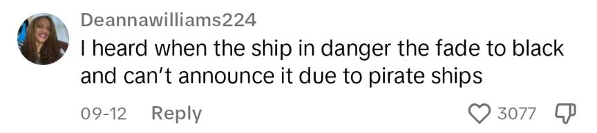 TikTok comment about cruise ship pirates