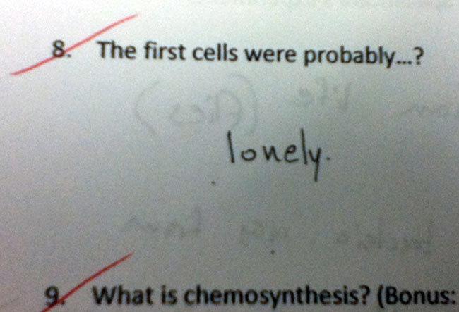 41 Test Answers That Should Be Marked Right Even Though They're Wrong