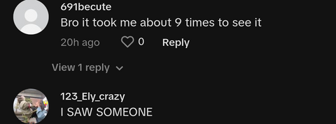 always trust your dog