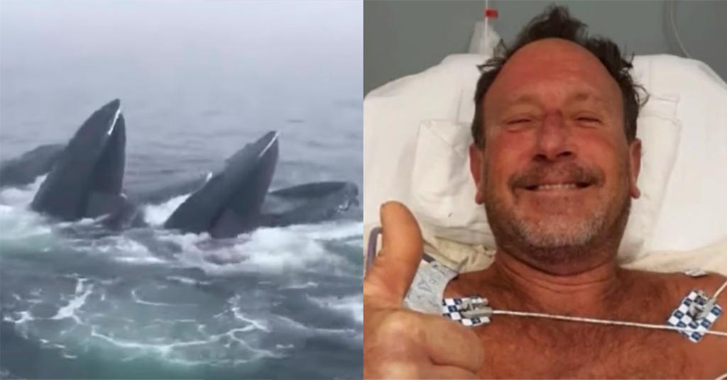 Man Swallowed by Whale Michael Packard Recounts Runin With Humpback