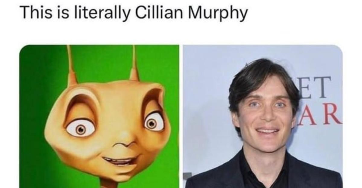 Cillian Murphy compared to Z from Antz