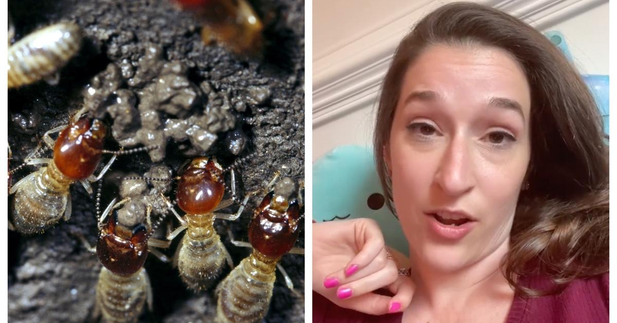 Woman who found termites in her VRBO