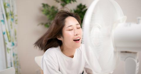 fan6-1534175336564-1534175338362.jpg