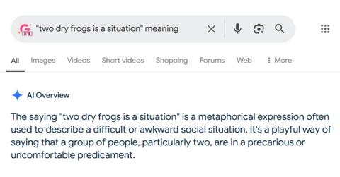 A Gemini answer to the "two dry frogs in a situation" prompt.