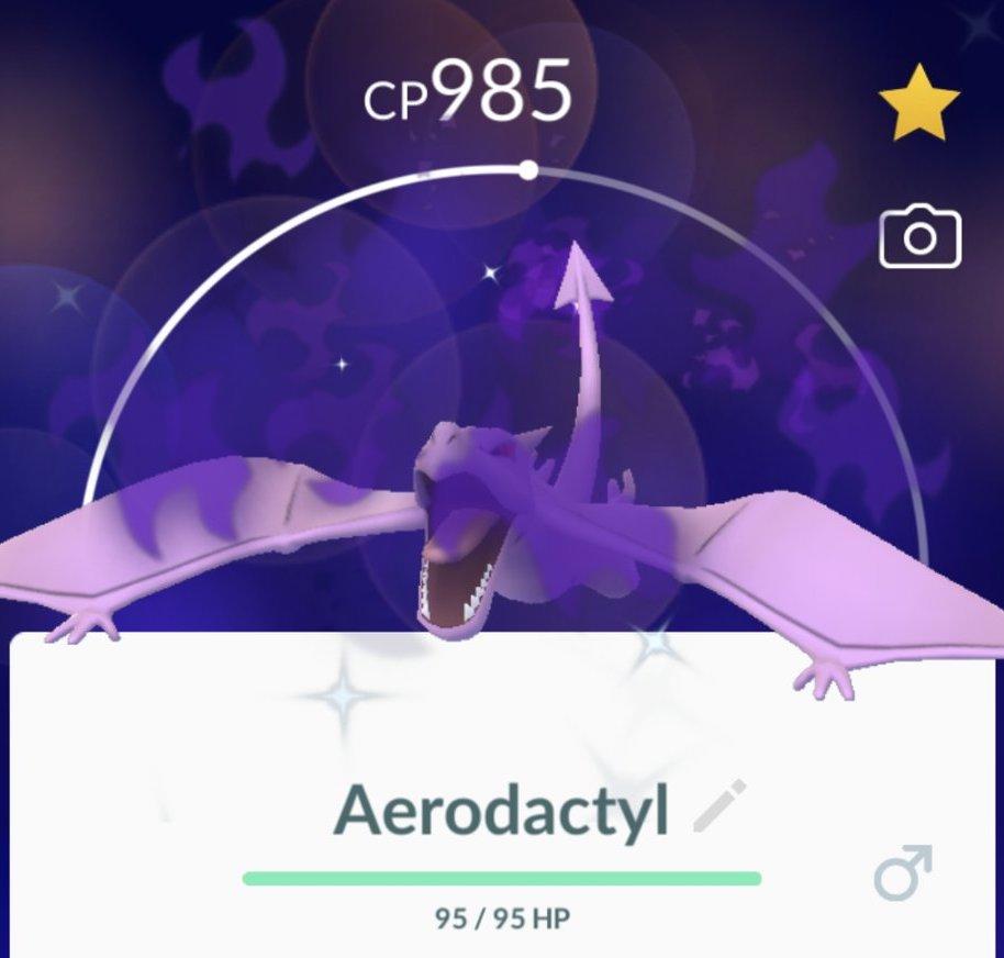 pokemon aerodactyl weakness｜TikTok Search