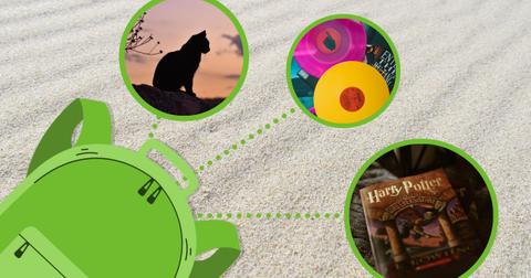 mrballen desert island necessities